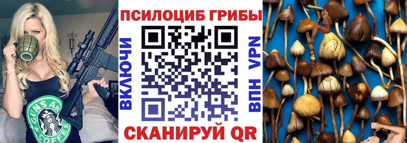 хочу   МЕГА tor  Галлюциногенные грибы MAGIC MUSHROOMS  Задонск 