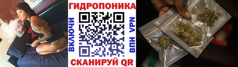Бошки Шишки VHQ  Задонск 